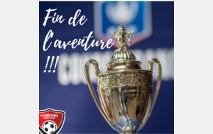 Fin de l'aventure en Coupe de France !